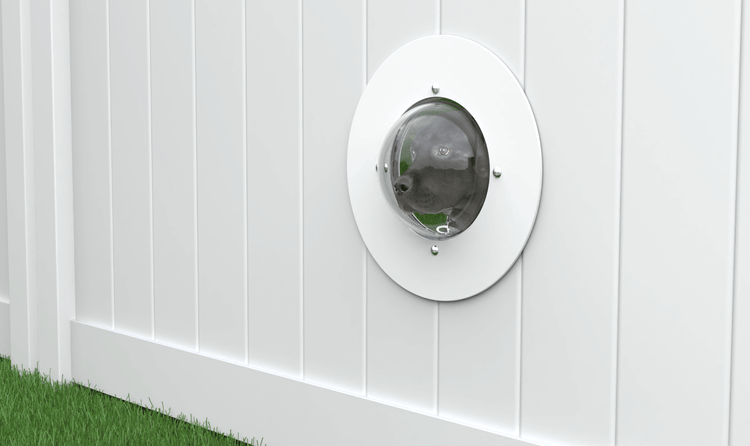 Vinyl and Wood Fence Acrylic Dog Window