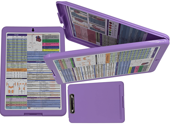 Nursing Clipboard with Storage  -excellent for clinical -PURPLE