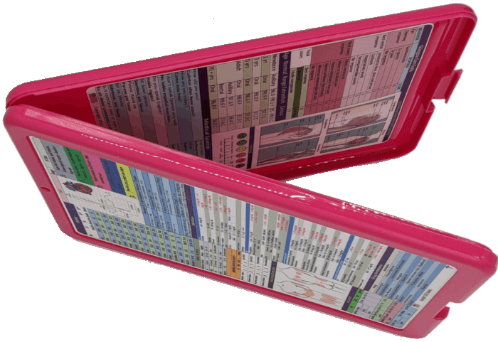 Nursing Clipboard with Storage -excellent for clinical -PINK