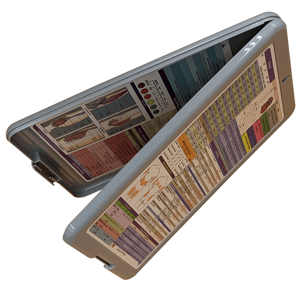 Nursing Clipboard with Storage -excellent for clinical -GRAY