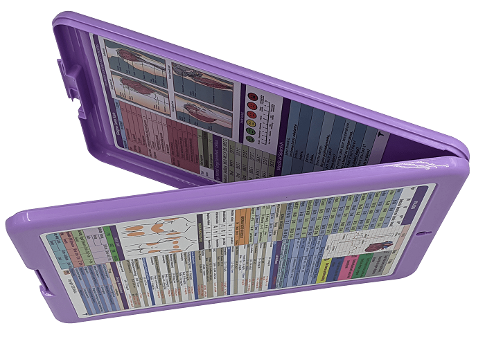 Nursing Clipboard with Storage -excellent for clinical -PURPLE
